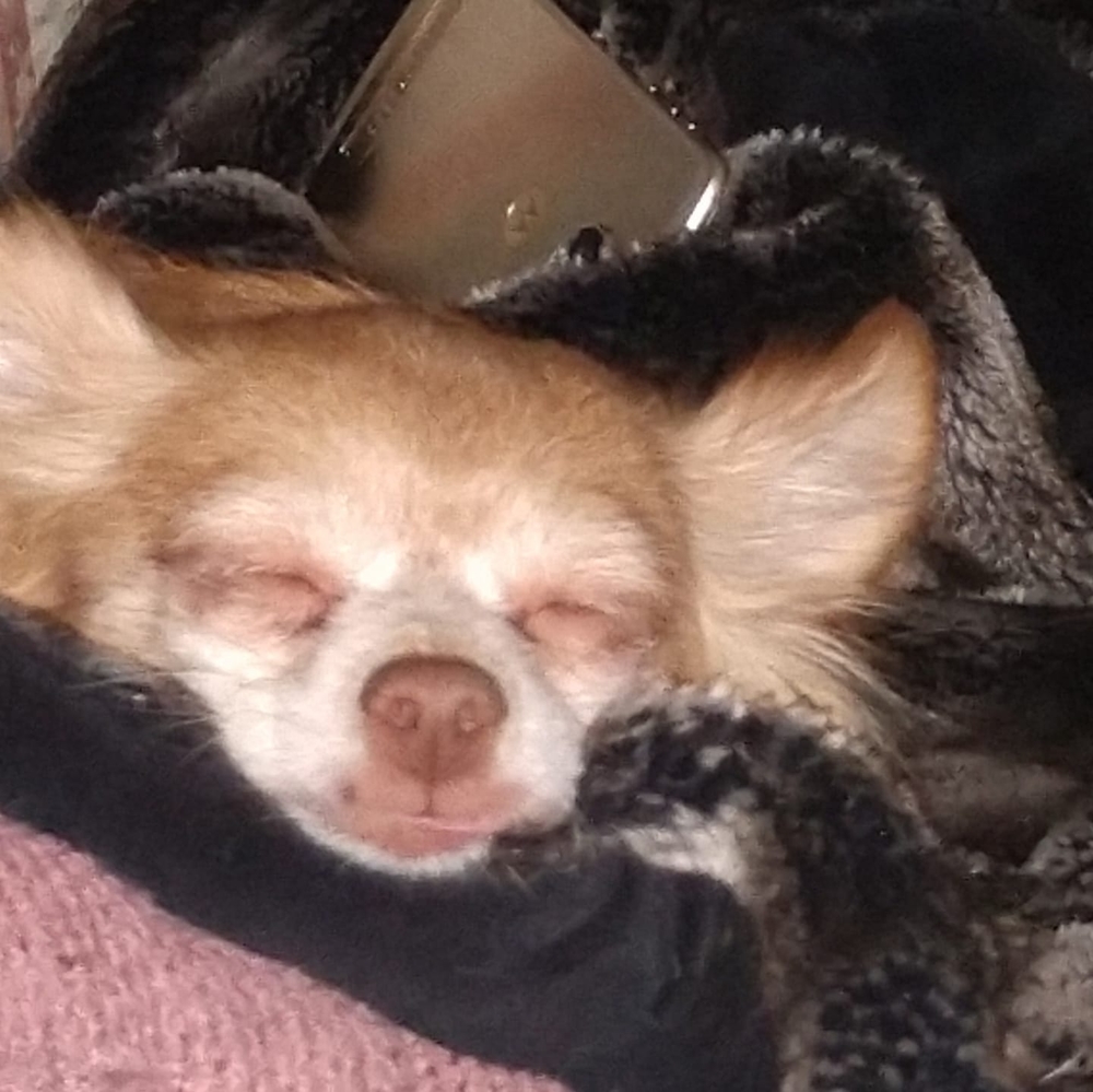 Meet your Posher, Chris